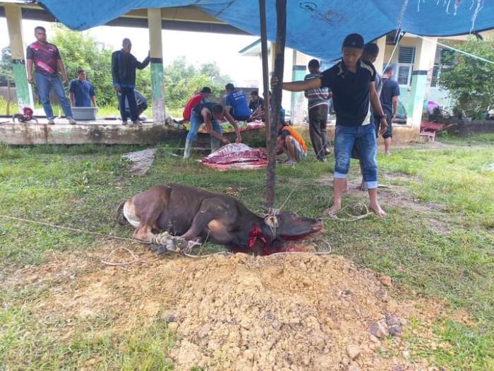 kurban adalah amal yang paling dicintai oleh Allah SWT, 