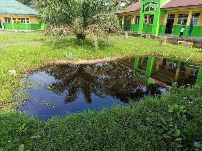 Kolam Madrasah Jadi Tempat Seru untuk Siswa dan Guru Memancing Ikan