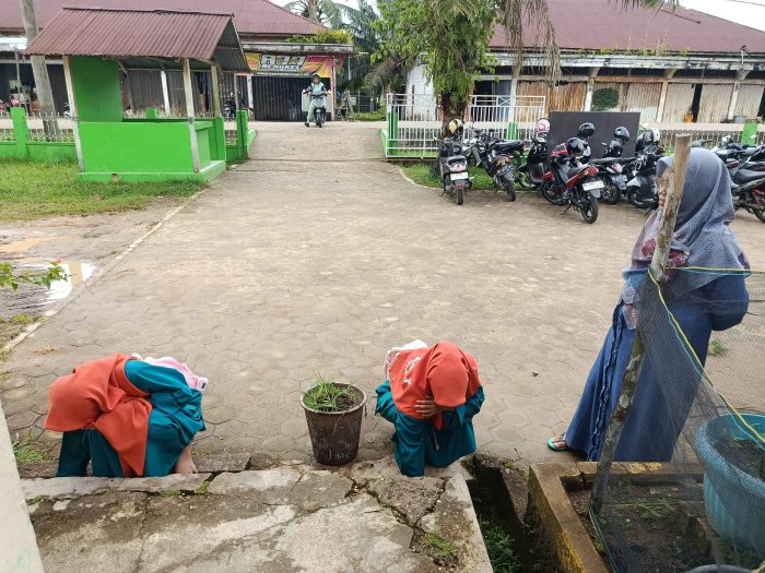 Siswa yang Terlambat Datang Dapat Hukuman Edukatif: Mencabut Rumput di Pekarangan Madrasah