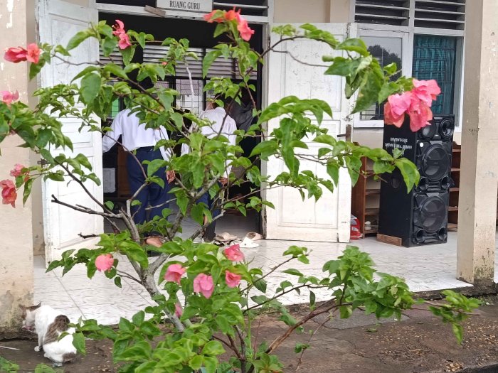 Hujan Memekarkan Bunga Bougenville di MTsN 3 Muaro Jambi